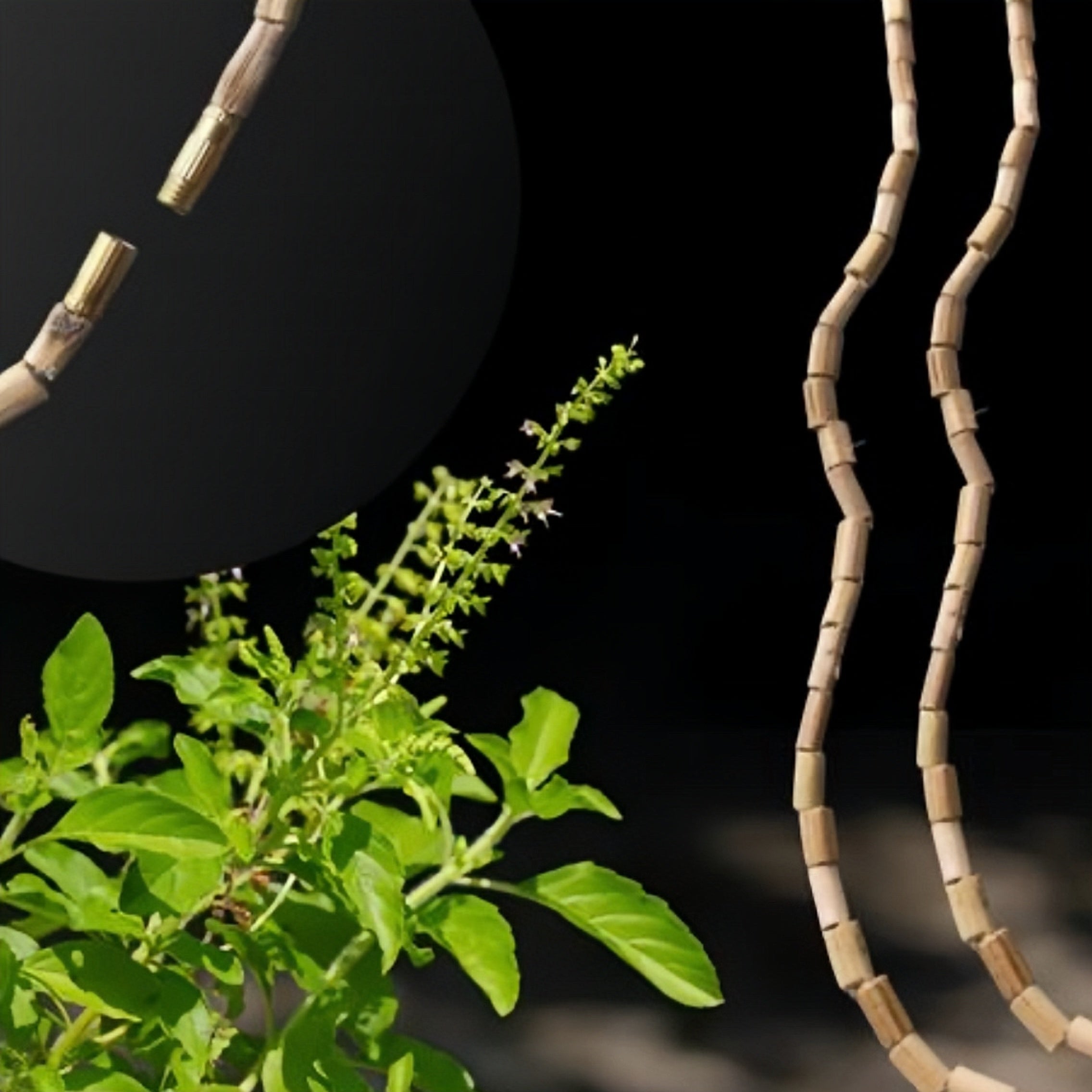 Double Round Tulsi Mala